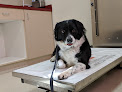 Pet boarding services Vca Timpanogos Animal Hospital in Pleasant Grove in Utah