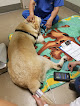 Pet boarding services Vca University Animal Hospital in Honolulu in Hawaii