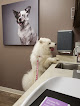 Pet boarding services Vca Village Park Animal Hospital And Range Pet Lodge in Carmel in Indiana