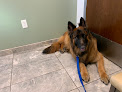 Pet boarding services Vca Woodford Animal Hospital in Versailles in Kentucky