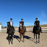 Pet boarding services Vd Equine in Brookings in South Dakota