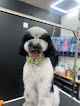 Pet boarding services Vila Pet Grooming & More Llc in Bayamón in Bayamón