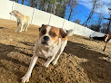 Pet boarding services Village Sentry Pet Care Llc in Hollis in NH