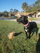 Pet boarding services Vip Pet Resort in Port Orange in Florida