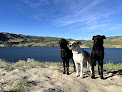 Pet boarding services W.r.h: Dog Boarding & Daycare in Phenix City in Alabama