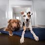 Pet boarding services Wag Hotels - Lincoln Park in Chicago in IL