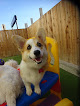 Pet boarding services Wag Hotels - Redwood City in Redwood City in CA