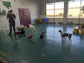 Pet boarding services Wag Hotels - Santa Clara in Santa Clara in CA