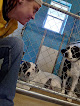 Pet boarding services Wag'en Tail Ranch in Valley Center in Kansas