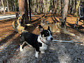 Pet boarding services Waggin Wilderness Pet Lodge, Llc in Cassatt in South Carolina