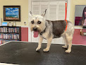 Pet boarding services Waggytails Dog Grooming in Salina in Kansas