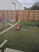 Pet boarding services Wagmore Canine Enrichment: Daycare And Boarding in Lawrence in Kansas