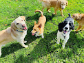 Pet boarding services Wagmore Kennels in Winhall in VT
