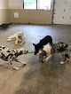 Pet boarding services Wags And Whiskers Pet Resort in Kimberly in Wisconsin