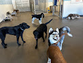 Pet boarding services Wags And Whiskers Pet Resort in Flagstaff in Arizona