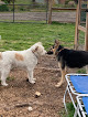 Pet boarding services Wags In-home Country Dog Boarding in Middleton in Idaho