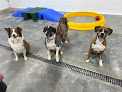 Pet boarding services Wags Pet Retreat in Nicholasville in Jessamine