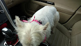 Pet boarding services Wags 'n Whiskers Comprehensive Pet Care in Homewood in Alabama