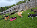 Pet boarding services Wagsinn Llc in South Charleston in OH