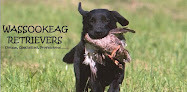 Pet boarding services Wassookeag Retrievers in Lowell in Maine