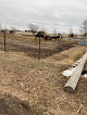 Pet boarding services Watchman Stables in Lincoln in Nebraska