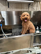 Pet boarding services Watsons Kennels in Fortville in Indiana