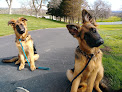 Pet boarding services Way Of A Dog in Fresno in CA