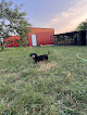 Pet boarding services Weatherford Dog Ranch in Weatherford in Parker