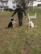 Pet boarding services Weber's Training School in Princeton in NJ