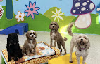 Pet boarding services Wee Little Paws Inn Crystal Lake in Crystal Lake in McHenry