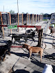 Pet boarding services Weona Pet Resort in Great Falls in MT