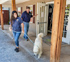 Pet boarding services Wescott Acres Pet Resort in Columbia in South Carolina