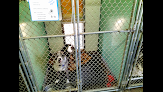 Pet boarding services West 5th Pet Resort in Hutchinson in KS