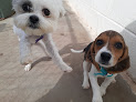 Pet boarding services West Wichita Pet Clinic in Wichita in Kansas