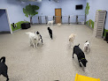 Pet boarding services Westinn Kennels - Everything Under One Woof in Wentzville in St. Charles
