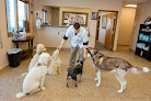 Pet boarding services Westside Family Pet Clinic in Norfolk in Nebraska