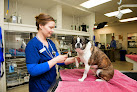 Pet boarding services Westvet Boise 24/7 Animal Emergency & Specialty Center in Garden City in Idaho