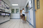 Pet boarding services Westwood Pet Care in Dothan in Alabama