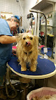 Pet boarding services Wet Pets in Montgomery in Alabama