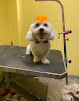 Pet boarding services Where My Dogs At? Pet Spa & Hotel in Brooklyn in Brooklyn