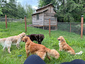 Pet boarding services Whidbey Island Pet Resort in Clinton in WA