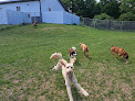 Pet boarding services Whiskey Creek Dog Boarding And Training in Detroit Lakes in MN