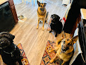 Pet boarding services White River Boarding Kennel in Elkins in Arkansas