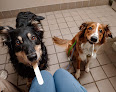Pet boarding services Whitesburg Animal Hospital in Huntsville in Alabama