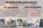 Pet boarding services Whitestone Doghouse in Whitestone in Queens