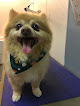 Pet boarding services Wilderness Trace Veterinary Clinic in Junction City in Kentucky