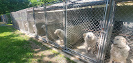 Pet boarding services Willow Run Kennels in Linden in Virginia