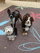 Pet boarding services Willows Oak Pet Lodge & Doggie Daycare in Madisonville in Louisiana