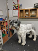 Pet boarding services Wilson's Kennel in Columbus in Indiana