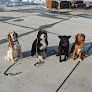 Pet boarding services Wind River Canine Partners, Dog Training & Boarding in Florence in MT